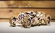 Ugears<BR>����DIY�Ȥ�Ω�ƥ��å�<BR>��U-9�����ɥץ�å���������<BR>70044