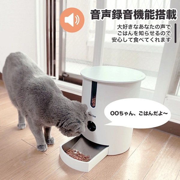 �ƥ������ƥ��Υ�����<BR>Take-One<BR> P1�ڥåȼ�ư��´�<BR>��WHITE��<BR>P1