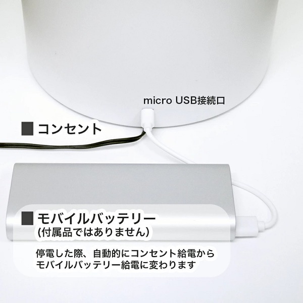 �ƥ������ƥ��Υ�����<BR>Take-One<BR> P1�ڥåȼ�ư��´�<BR>��WHITE��<BR>P1