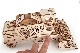 Ugears<BR>����DIY�Ȥ�Ω�ƥ��å�<BR>�ԥ���Х���ϡ��٥�������<BR>70010
