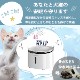 �����Τ����쥯�ȥ�å�<BR>�۴ľ��巿��ư����<BR>�ץ饹������<BR>��White��<BR>WF03