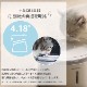 �����Τ����쥯�ȥ�å�<BR>�۴ľ��巿��ư����<BR>�ץ饹������<BR>��White��<BR>WF03