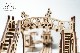 Ugears<BR>����DIY�Ȥ�Ω�ƥ��å�<BR>�ԥȥ��饤���<BR>70028