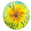JOYSOCKETS���祤�����å�JOYSOCKETS SINGLE��Х��륰��åס�Sunflower��JS-020186