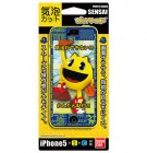 HASEPROSENSAI ��ˢ���å��ݸ�ե����for iPhoneSE/5s/5�ԥѥå�����01��