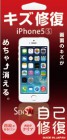HASEPROSENSAI �ݸ�ե����for iPhoneSE/5s/5�Լ��ʽ�����SI5S-04