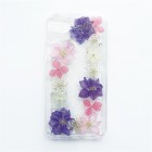 CollaBorn���㥱�åȥ����� for iPhone6/iPhone6s/iPhone7/iPhone8���̡�Colorful and bordering��PF-I7S-054