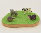 AG LimitedShibaful�ʥ��Хե��Island Coaster��with Tortoise��AG/SBF-CST21