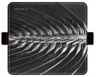 �����衼FONONFLIPA ���� VINTAGE BOTANICAL��Wheat�ե������꡼������FC-VB02