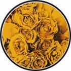 �����衼FONONWIRELESS CHARGING BASE��Yellow Rose / FLORAL/BK��WC-FR03-BK