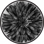 �����衼FONONWIRELESS CHARGING BASE��Mono FLORAL / FLORAL/BK��WC-FR04-BK