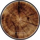 �����衼FONONWIRELESS CHARGING BASE��Stump / PHOTOGRAPH SERIES/BK��WC-PS07-BK