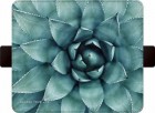 �����衼�ƣϣΣϣ�FLIPA ��Ģ��������BOTANICAL GARDEN¿�����б�(��150mm��75mm��11mm�ʲ�)��Cactus��FC-BG04