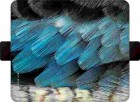 �����衼�ƣϣΣϣ�FLIPA ��Ģ��������BOTANICAL GARDEN¿�����б�(��150mm��75mm��11mm�ʲ�)��Fluffy��FC-BG07