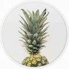 �����衼�ƣϣΣϣ�WIRELESS CHARGING BASEBOTANICAL GARDEN��Pineapple��WC-BG02-WH