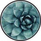 �����衼�ƣϣΣϣ�WIRELESS CHARGING BASEBOTANICAL GARDEN��Cactus��WC-BG04-BK