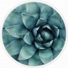 �����衼�ƣϣΣϣ�WIRELESS CHARGING BASEBOTANICAL GARDEN��Cactus��WC-BG04-WH