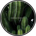 �����衼�ƣϣΣϣ�WIRELESS CHARGING BASEBOTANICAL GARDEN��Cereus Peruvianus��WC-BG05-BK
