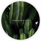 �����衼�ƣϣΣϣ�WIRELESS CHARGING BASEBOTANICAL GARDEN��Cereus Peruvianus��WC-BG05-WH