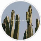�����衼�ƣϣΣϣ�WIRELESS CHARGING BASEBOTANICAL GARDEN��Columnar Cactus��WC-BG06-WH